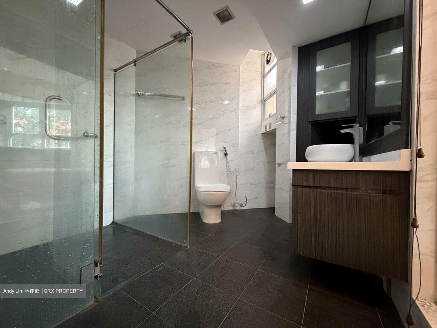 Ivory Heights (D22), Condominium #509684351